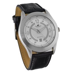 171/13 Zegarek Męski Timemaster Effect