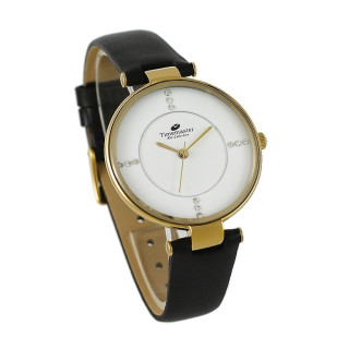 128/206 Zegarek Damski Timemaster TMaster