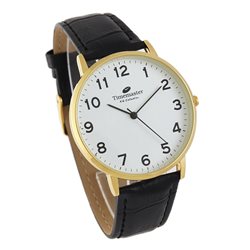 231/06 Zegarek Męski Timemaster klasyczny, czytelny