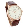 173/177AL Zegarek Męski Timemaster Data