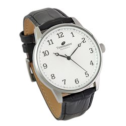 264/01 Zegarek Męski Timemaster klasyczny