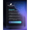 198/05 Zegarek Męski Timemaster